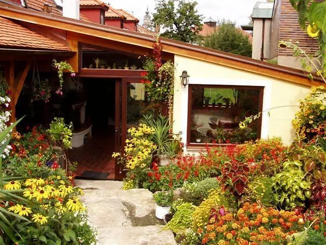 Anna Český Krumlov